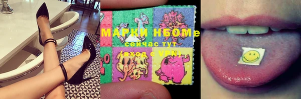 прущие грибы Абинск