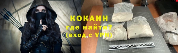 прущие грибы Абинск