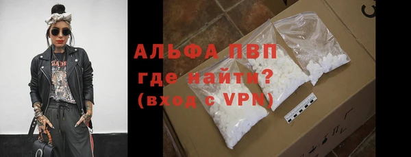 прущие грибы Абинск