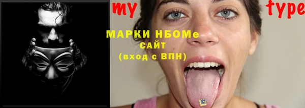 прущие грибы Абинск