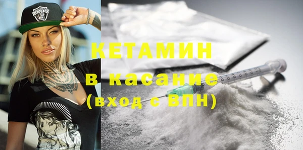 прущие грибы Абинск