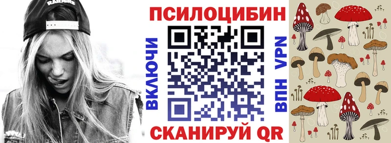 kraken ссылки  Юрга  площадка наркотические препараты  Псилоцибиновые грибы Psilocybine cubensis 
