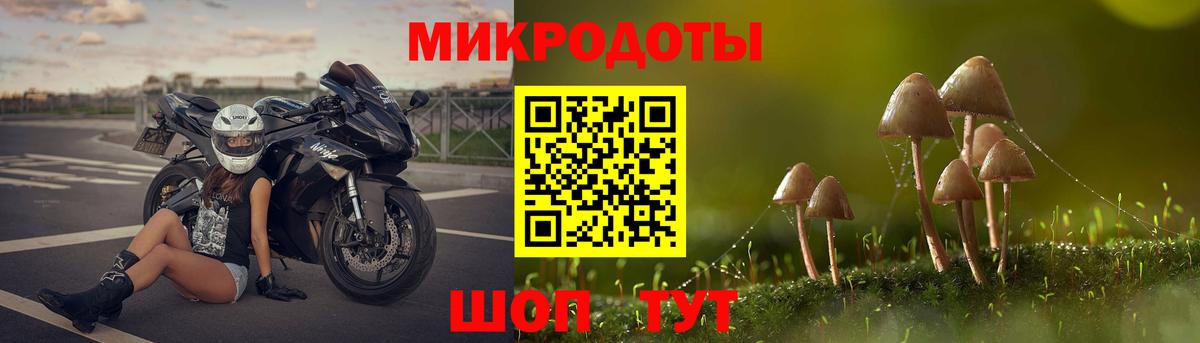 Галлюциногенные грибы мухоморы Юрга